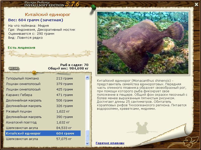 Заявки на рекорд 