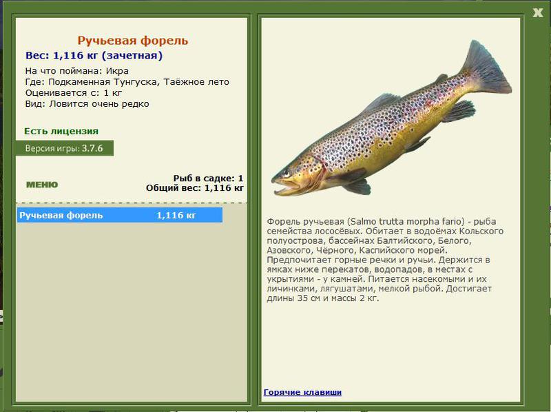 РУССКАЯ РЫБАЛКА Installsoft Edition 