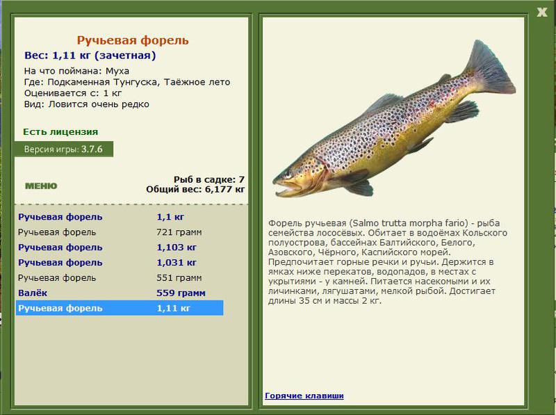 РУССКАЯ РЫБАЛКА Installsoft Edition 