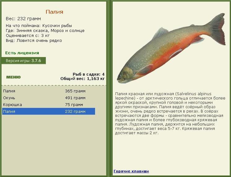 РУССКАЯ РЫБАЛКА Installsoft Edition 