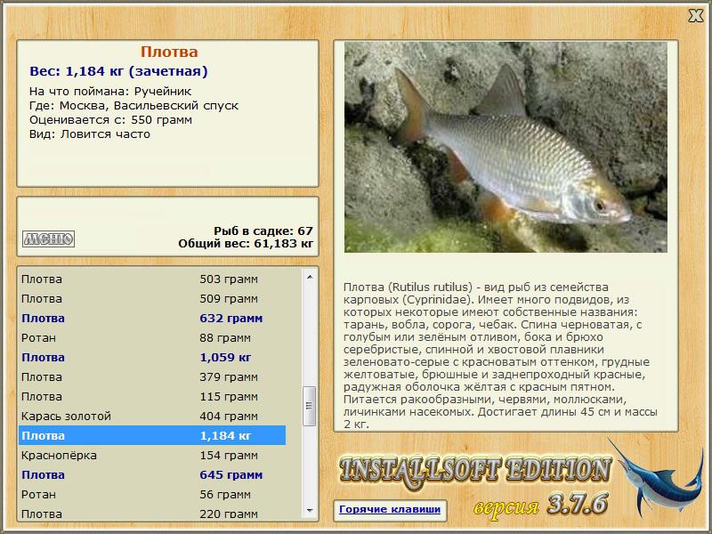 Васильевский спуск 