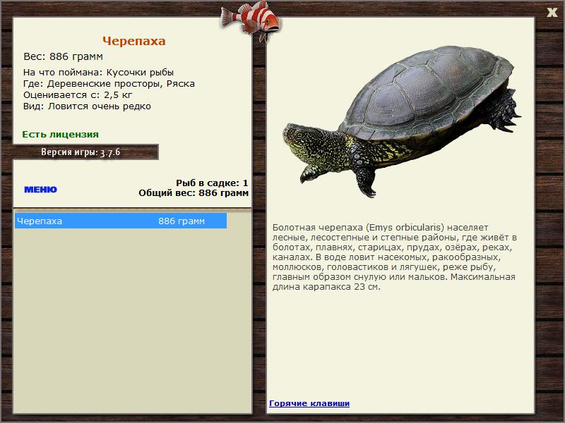 турниры * РУССКАЯ РЫБАЛКА