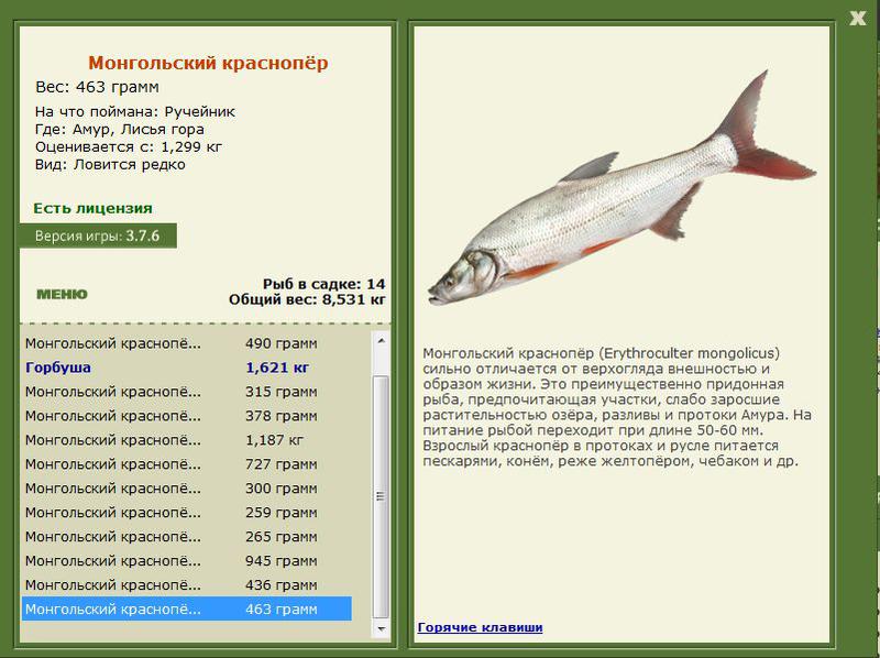 РУССКАЯ РЫБАЛКА Installsoft Edition 