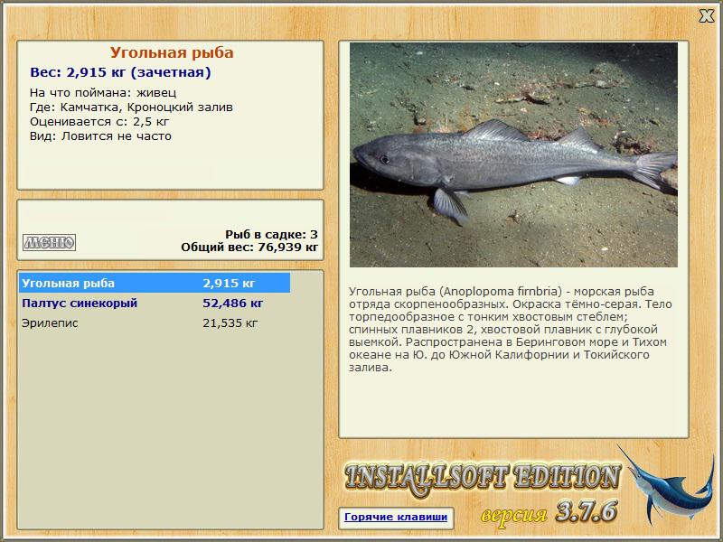 Кроноцкий залив 