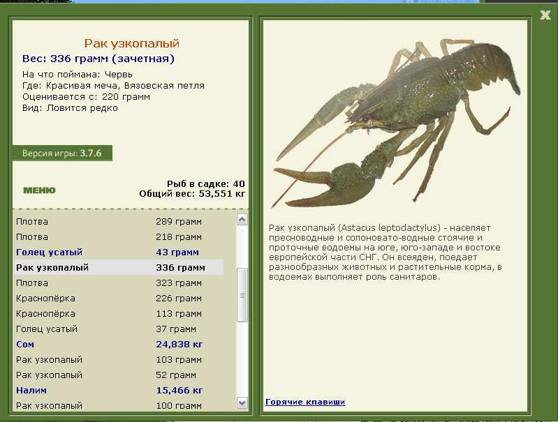 Вязовская петля 