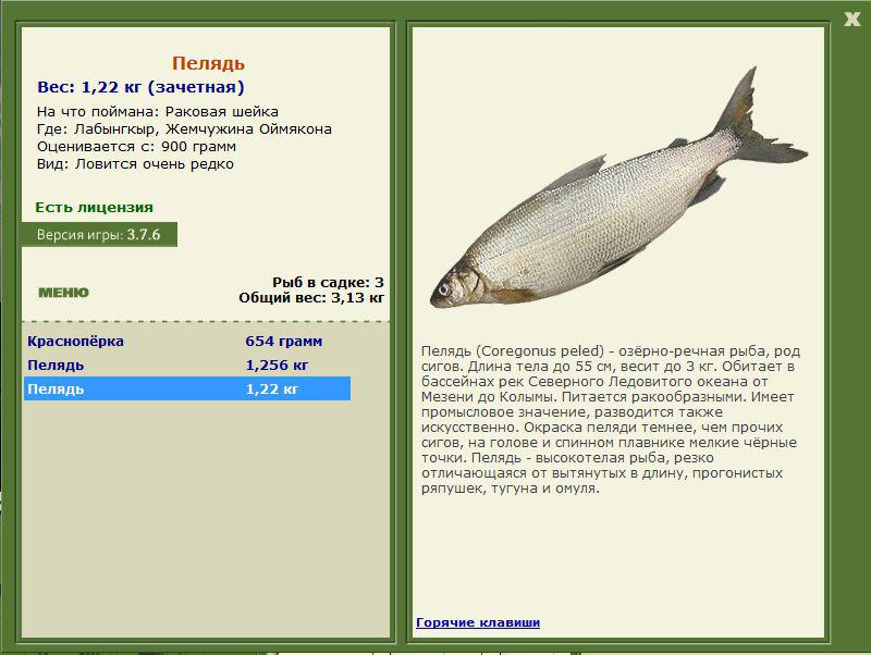 РУССКАЯ РЫБАЛКА Installsoft Edition 