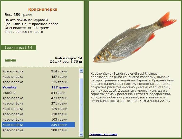 У красного плёса 