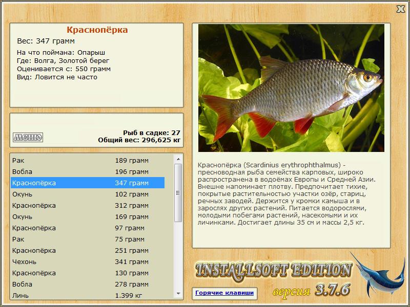 Золотой берег 