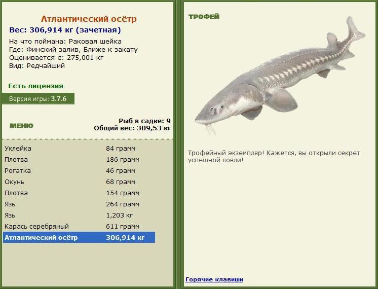 Ближе к закату 