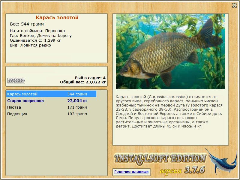 Домик на берегу 