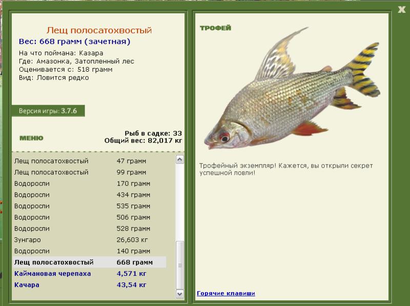 Лещ полосатохвостый 