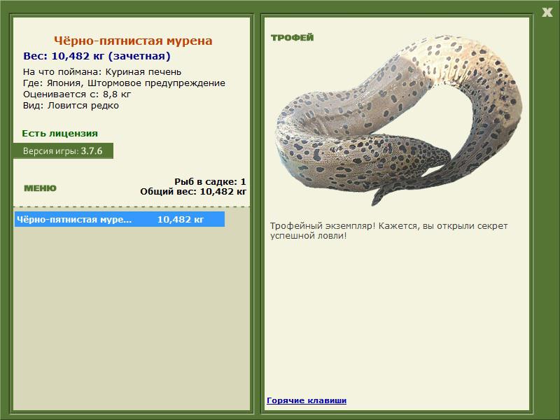 Штормовое предупреждение 