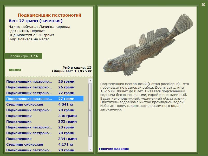 Перекат 