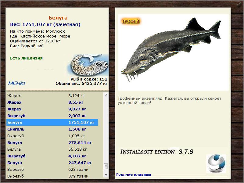 Море 