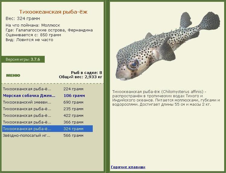 Фернандина 
