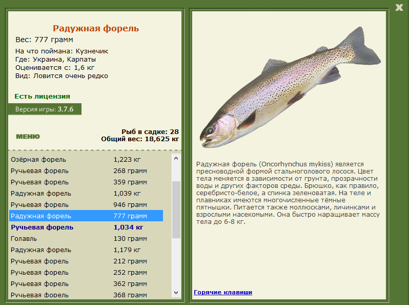 турниры • РУССКАЯ РЫБАЛКА