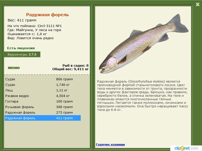 У леса на горе 