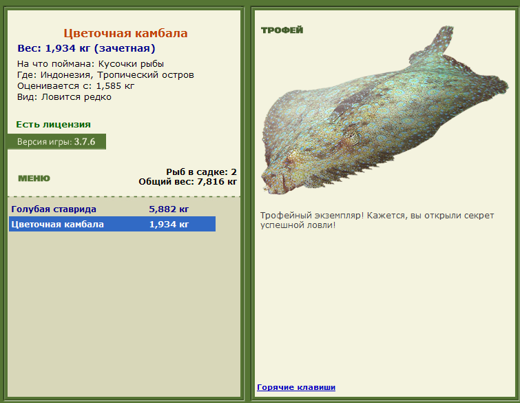 Заявки на рекорд 