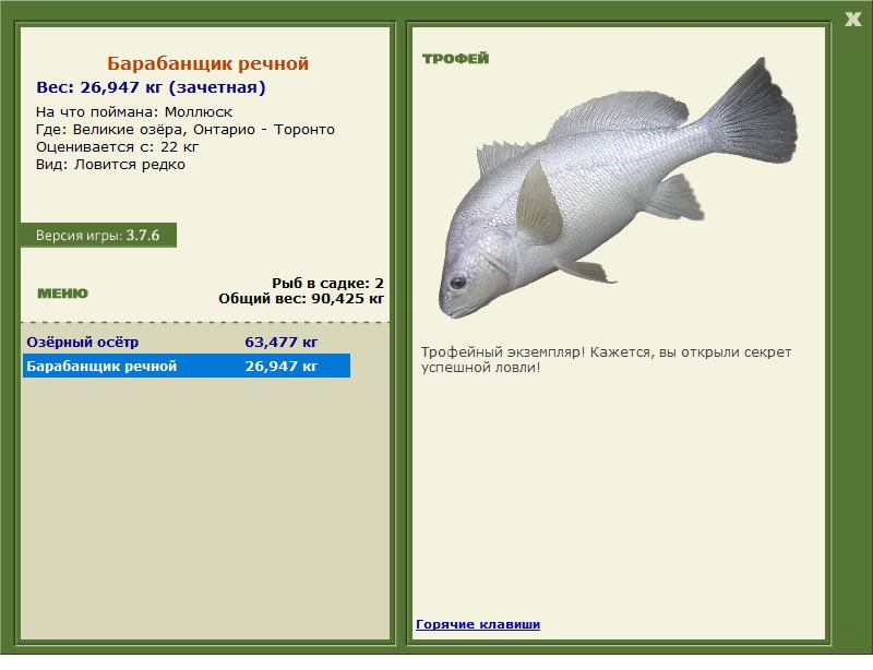 Барабанщик речной 