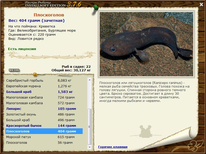 Бурлящее море 