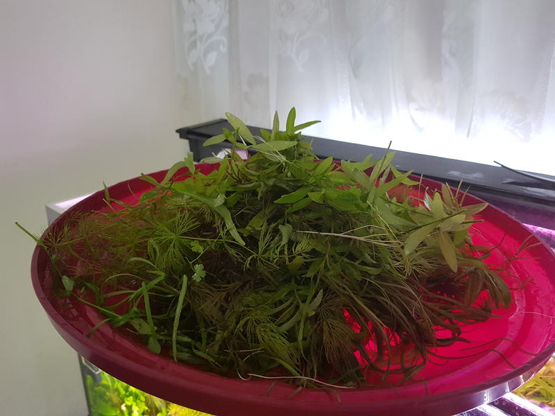  Начать новую тему