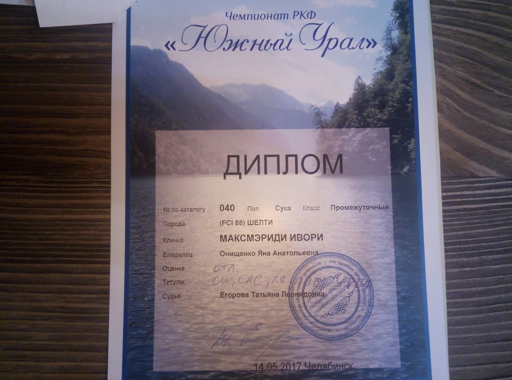 Изображение