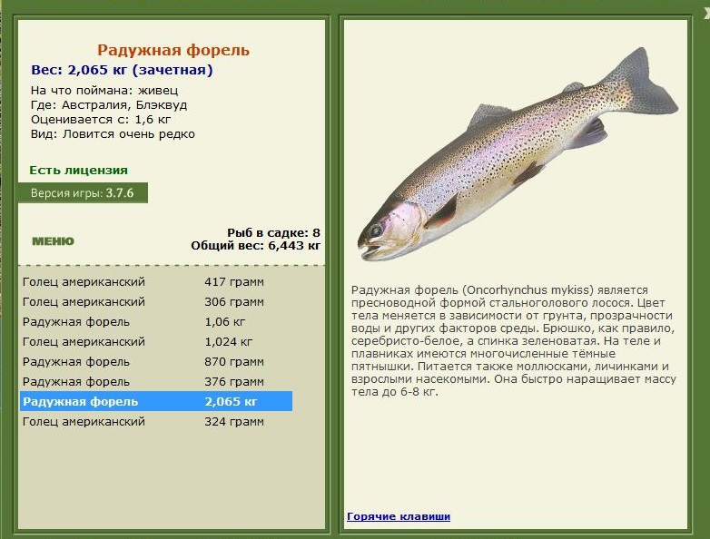 Блэквуд 