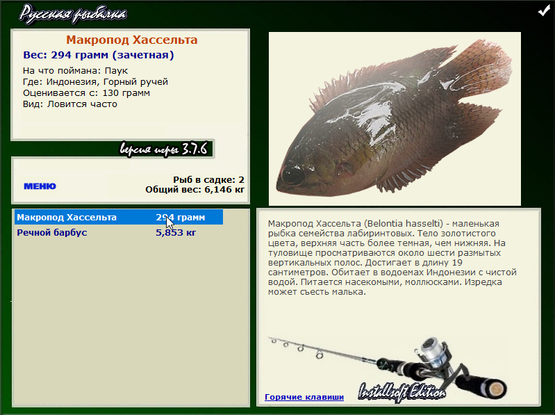 Заявки на рекорд 