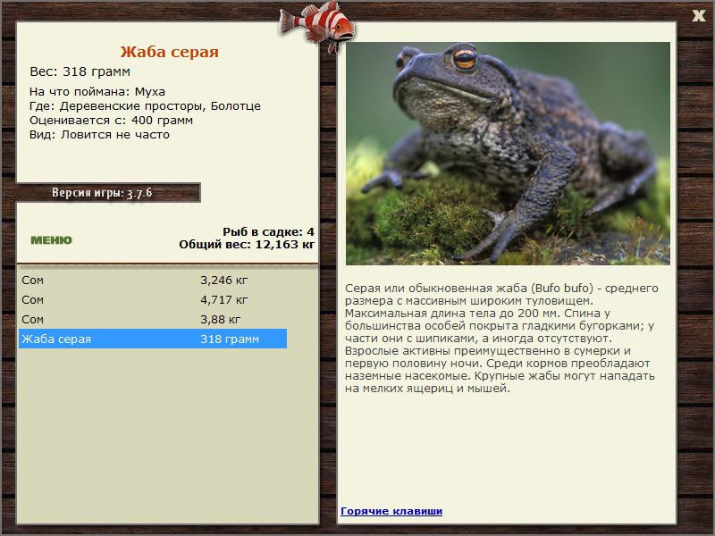 Болотце 