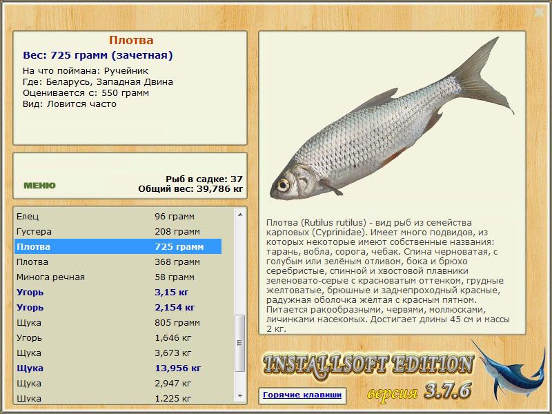 Беларусь 