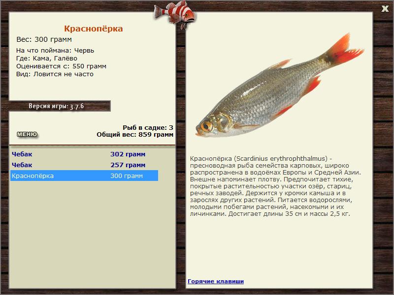 Галёво 