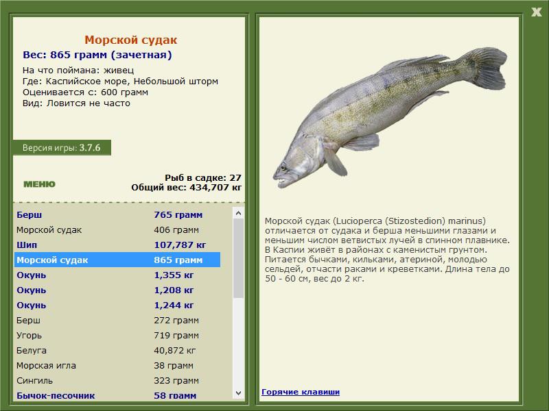 Небольшой шторм 