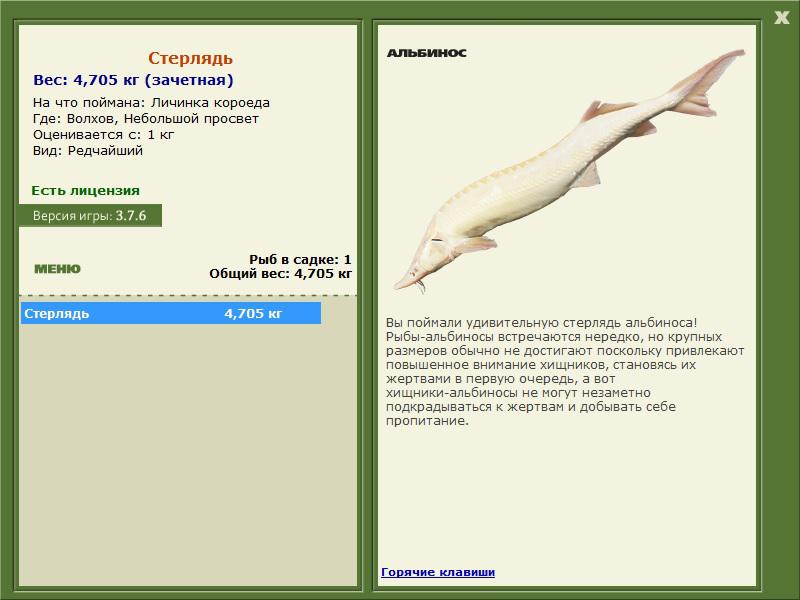Небольшой просвет 