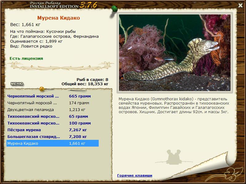 турниры • РУССКАЯ РЫБАЛКА