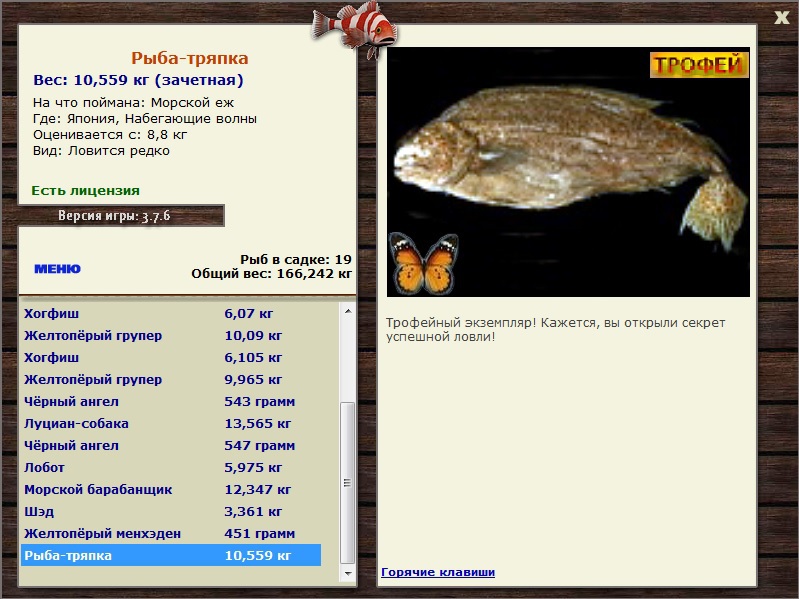 Морской ёж 