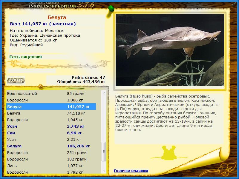 РУССКАЯ РЫБАЛКА Installsoft Edition 