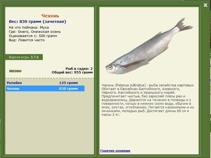 РУССКАЯ РЫБАЛКА Installsoft Edition 