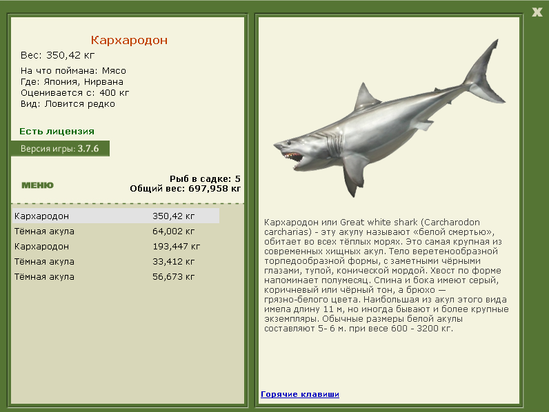 Нирвана 