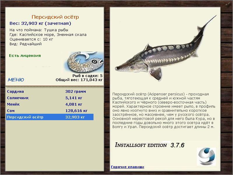 Змеиная скала 