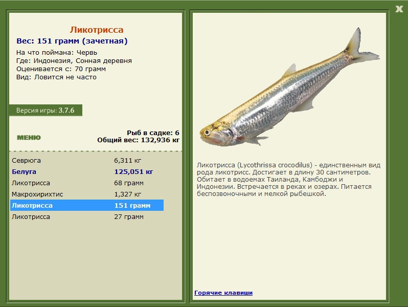 Заявки на рекорд 