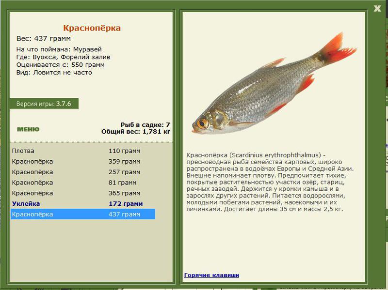 РУССКАЯ РЫБАЛКА Installsoft Edition 