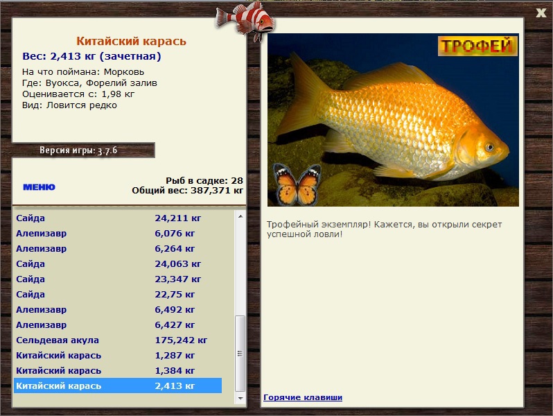 Морковь 