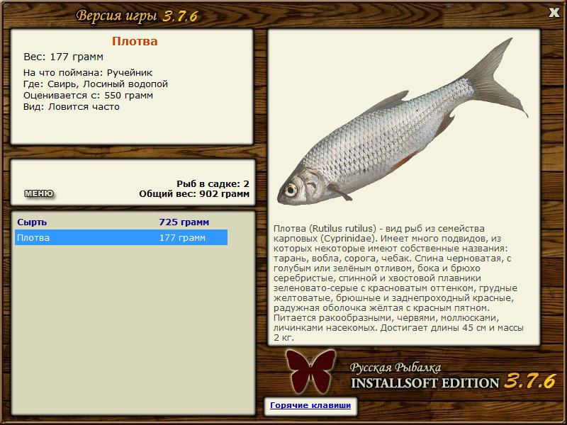 Лосиный водопой 