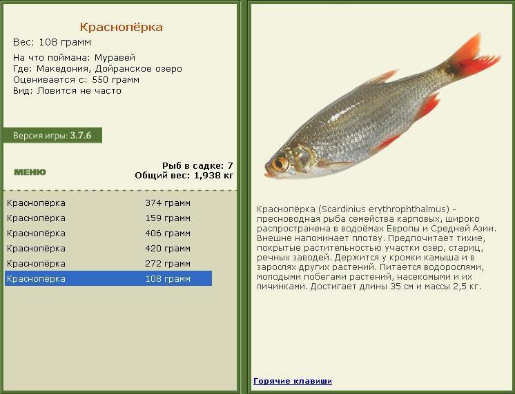 Дойранское озеро 