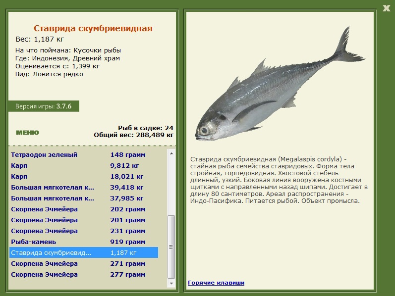 Заявки на рекорд 