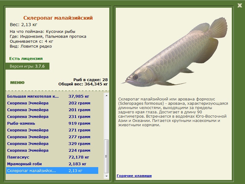 Заявки на рекорд 