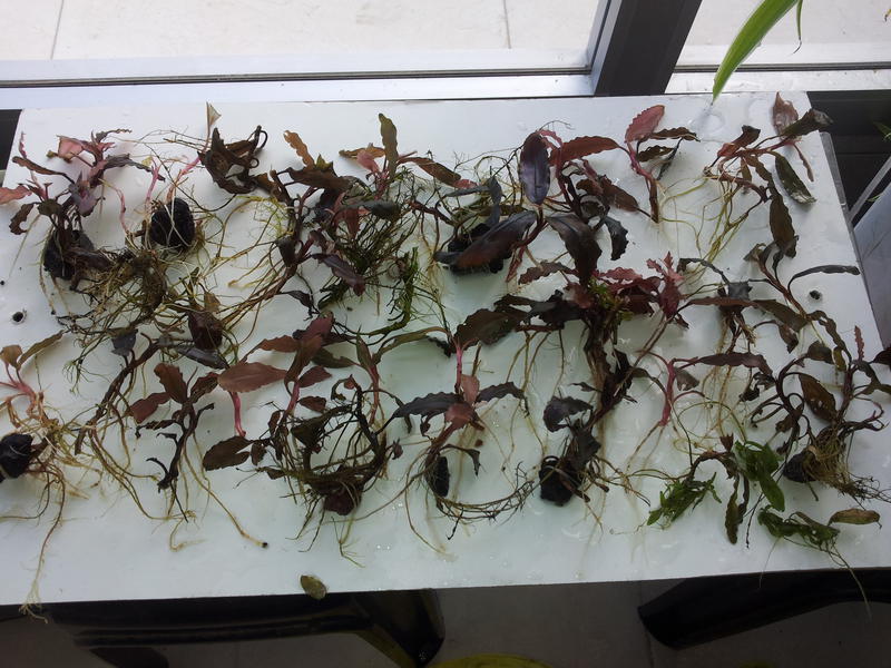  Начать новую тему