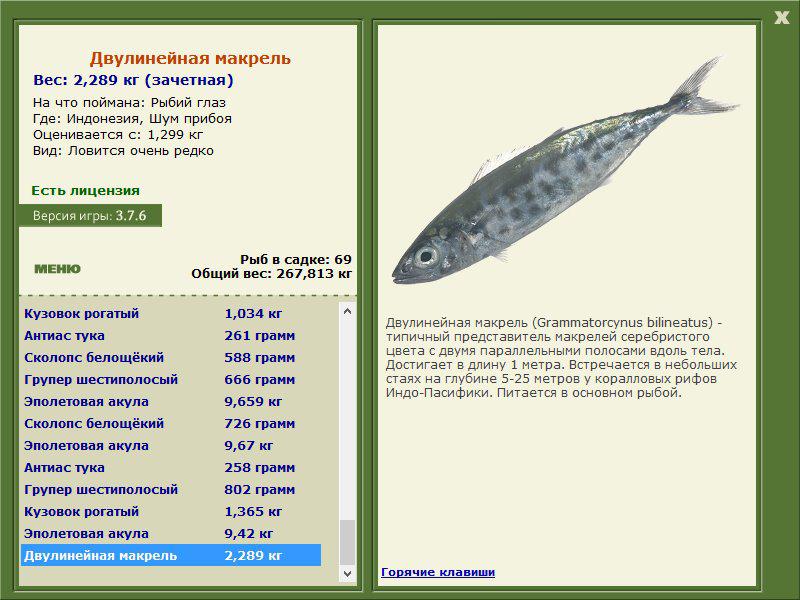 Заявки на рекорд 
