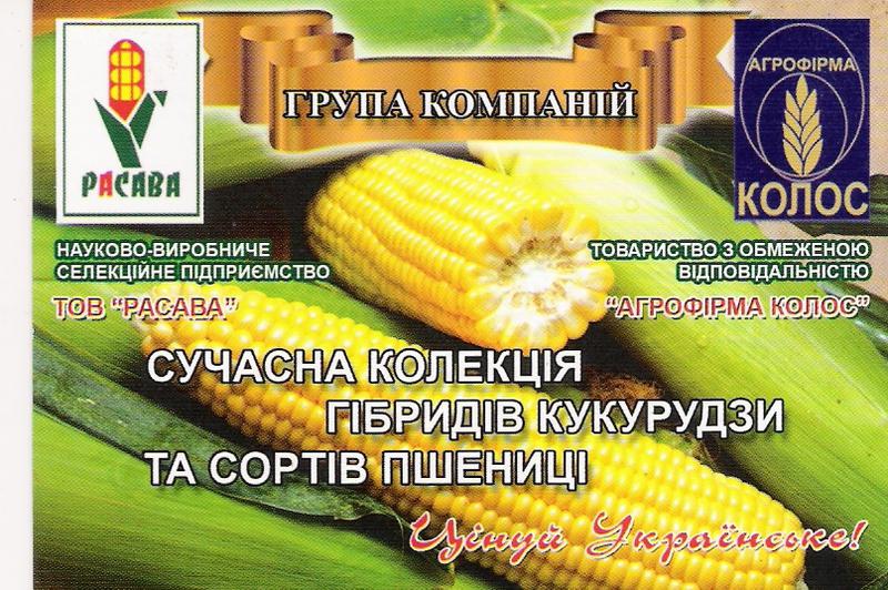 Моя коллекция: продукты и напитки