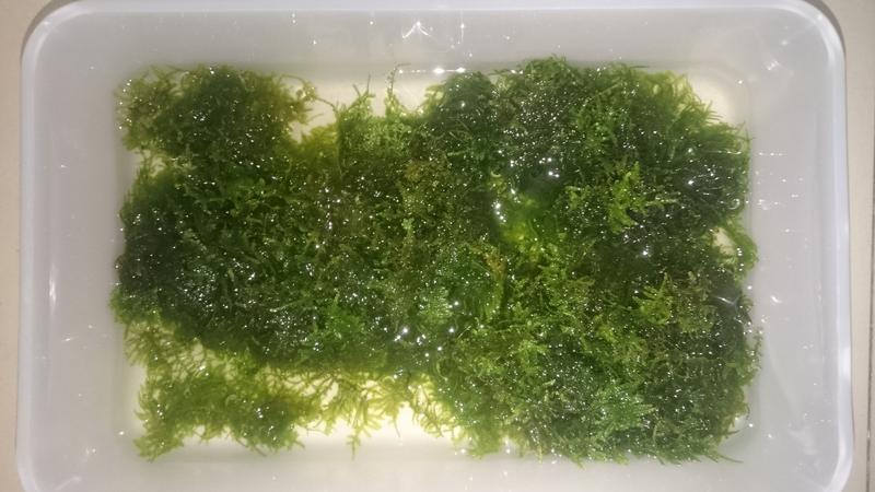  Начать новую тему